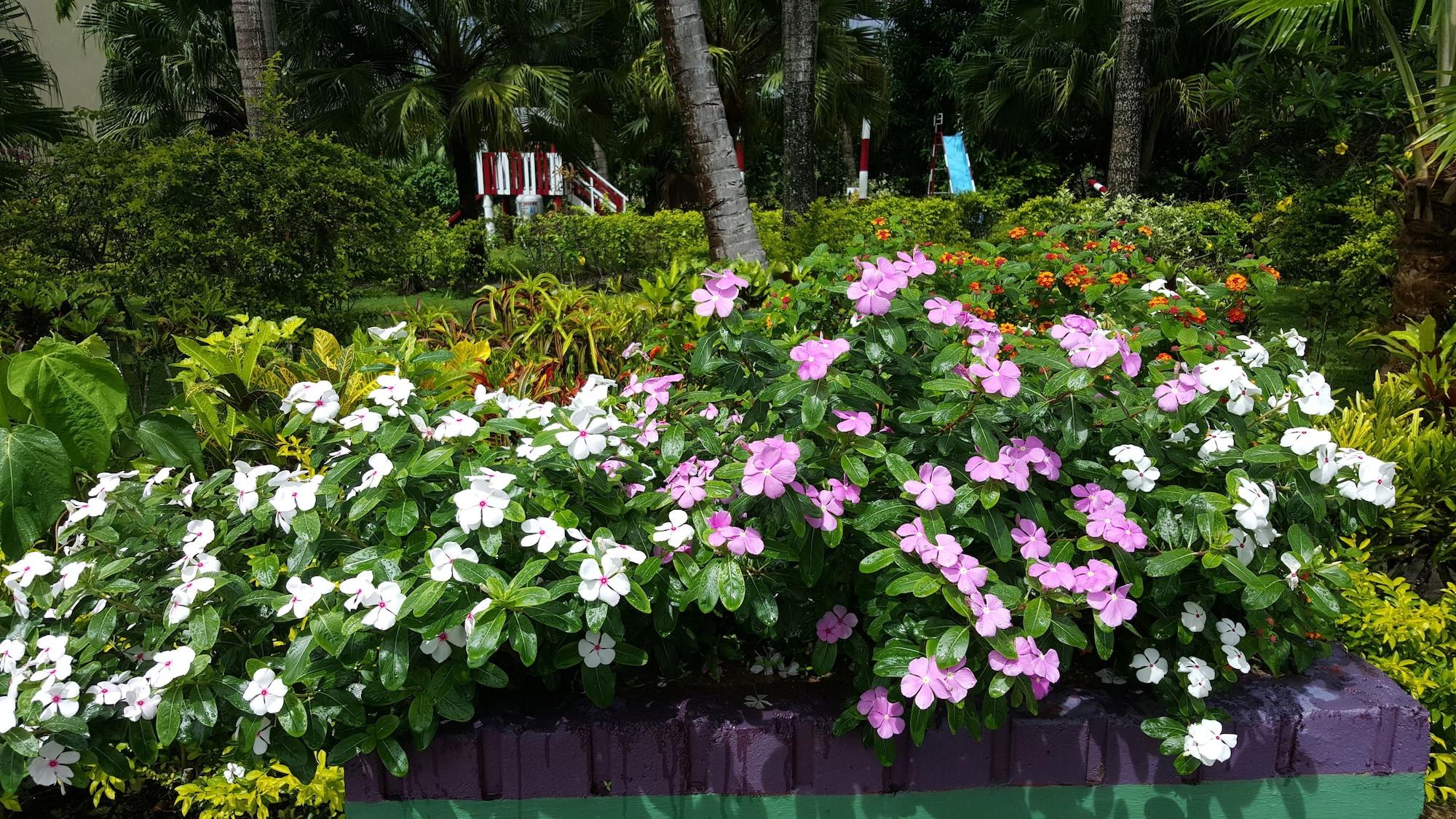 Grand West Villas Nadi Ngoại thất bức ảnh